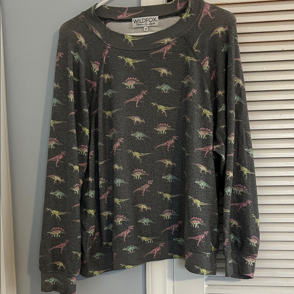 Wildfox Multicolor Dinosaur Pattern Sweatshirt